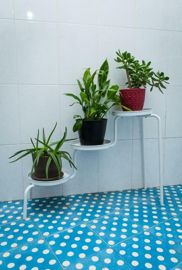 Apartmán Downtown Shelter - Casa Da Praca Aveiro Exteriér fotografie